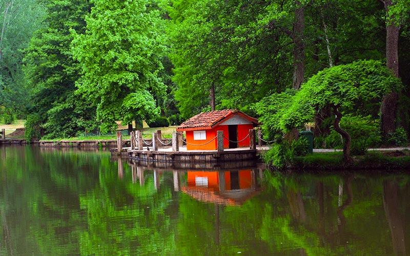 Fotoğrafçıların Buluşma Noktası Atatürk Arboretumu...