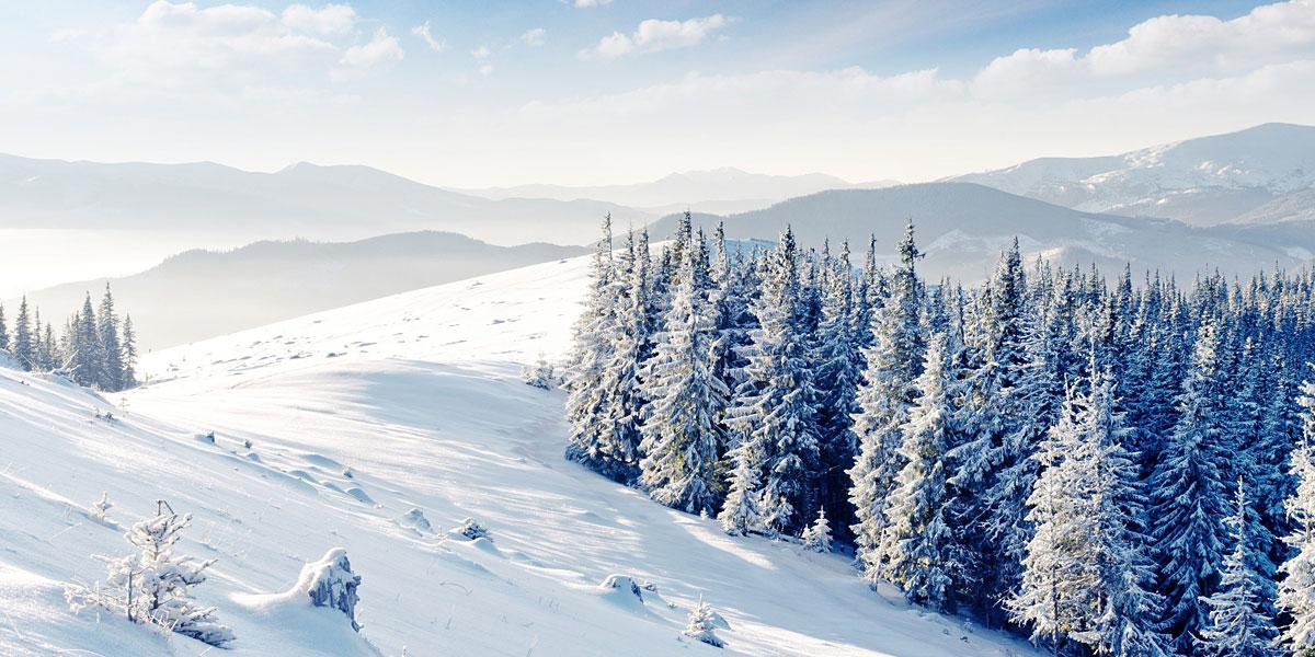 Whitefest Otelleri 2019